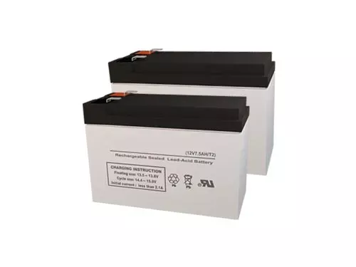 Alpha Technologies ALI Plus 700 Multi Mount Replacement Batteries (Set of 2)