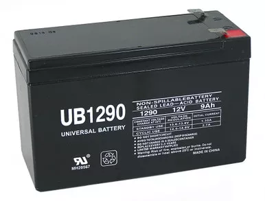 Compaq T1000 UPS Battery (2 x 12V9Ah)