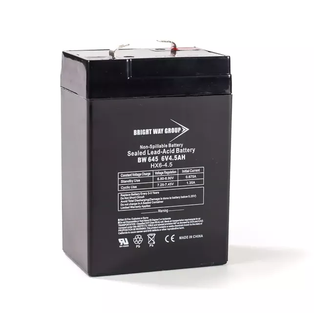 EaglePicher CFM6V4.6S6 Replacement Battery by Bright Way