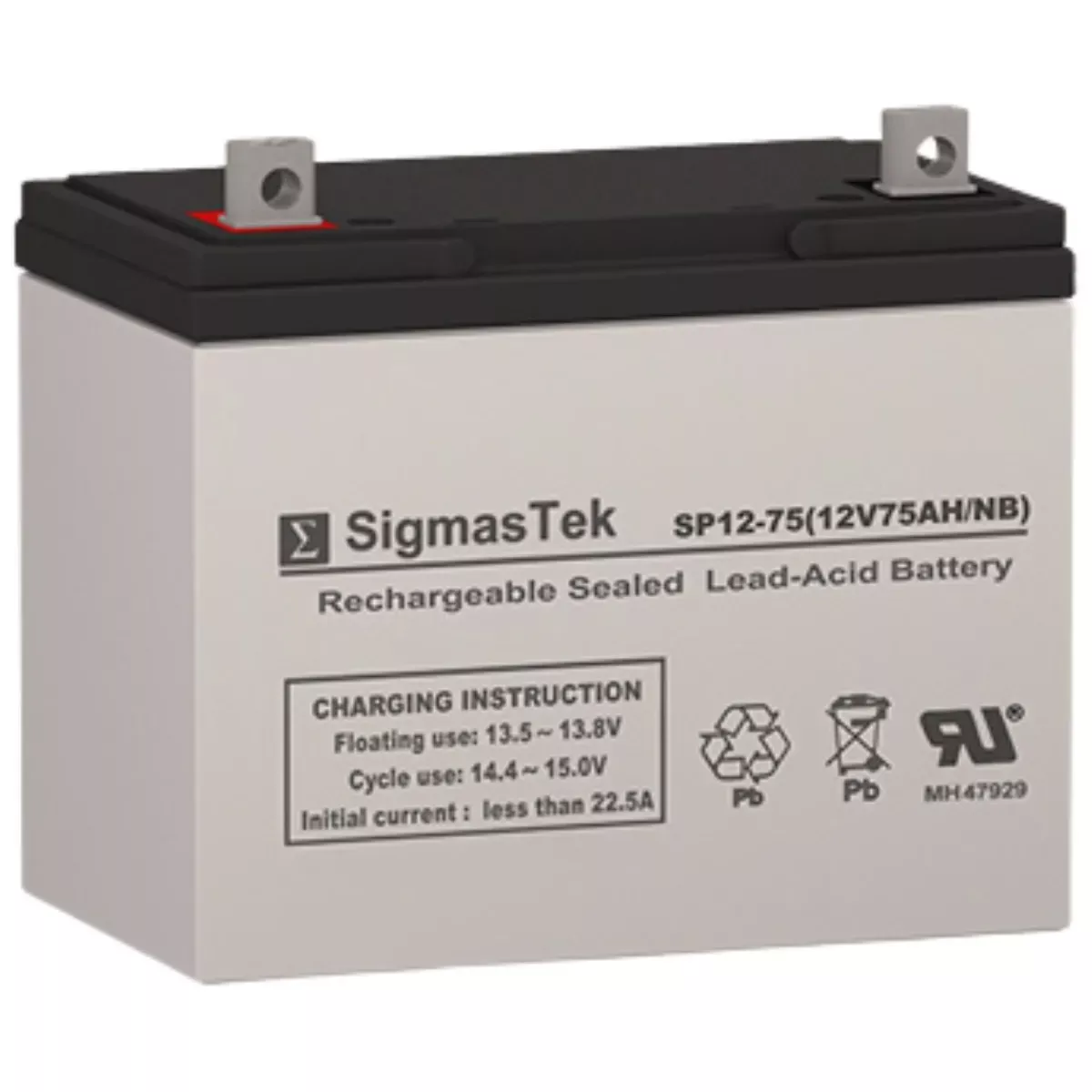 Powertron PT65-12 Replacement Battery
